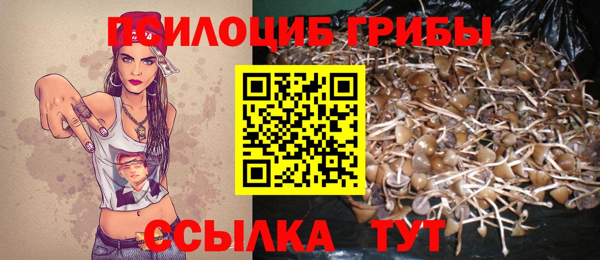 Псилоцибиновые грибы прущие грибы  Вход с VPN  Псилоцибиновые грибы ЛСД  Асбест 
