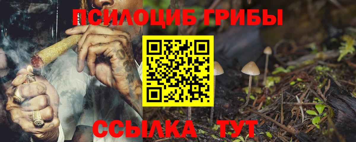 Псилоцибиновые грибы ЛСД Асбест